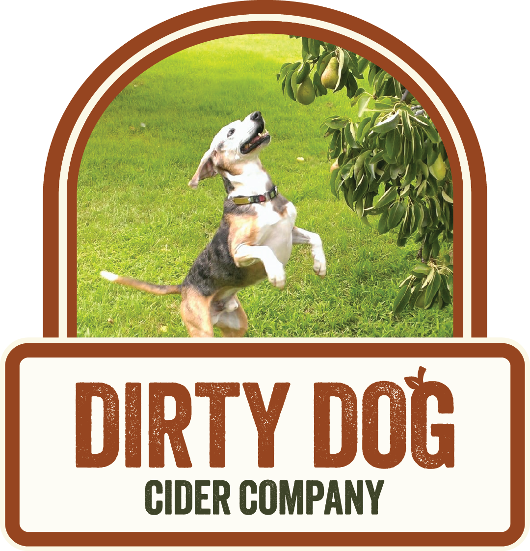 Dirty Dog Cider Company logo